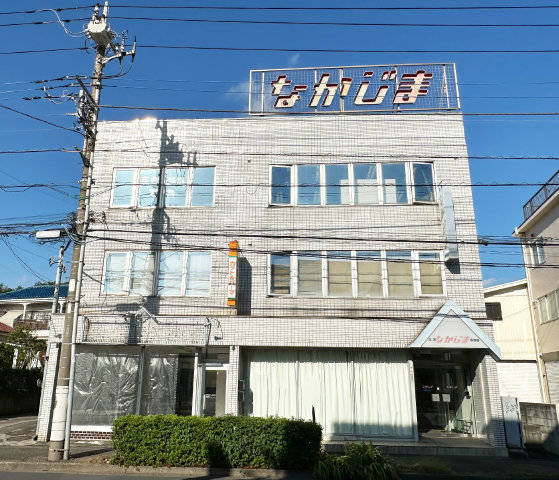 M13116画像